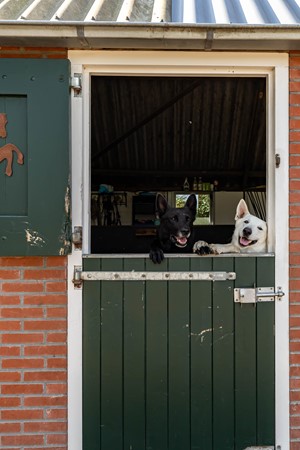 Medium property photo - Halbe Wiersemaweg 6, 9365 TB Niebert